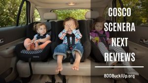 Cosco Scenera NEXT Review