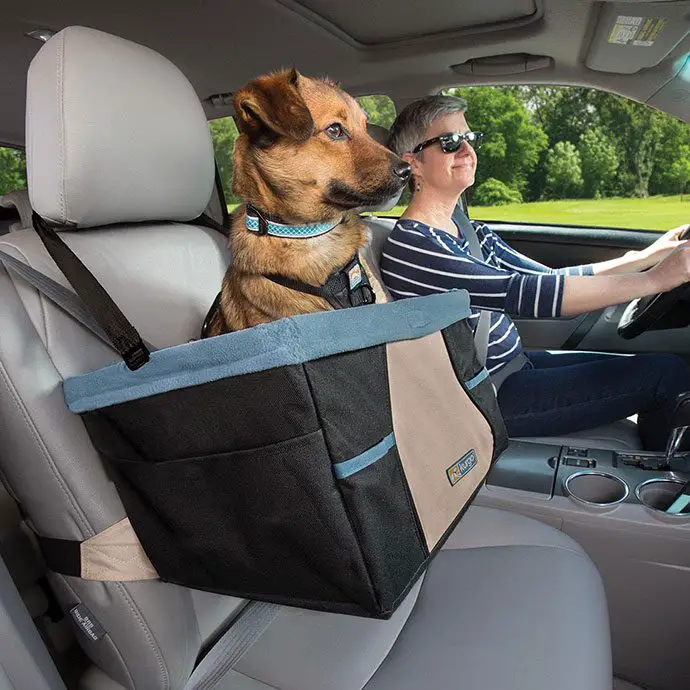 Best Dog Car Seat 2021, Double Dog Car Seat