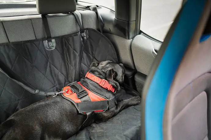 Dog Car Etiquette 9 Best Seat Covers For Dogs That 100 Working - Best Dog Seat Cover For Toyota Tacoma