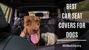 best car seat covers for dogs