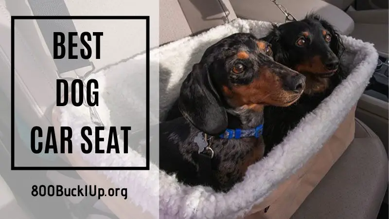 How To Select The Best Dog Car Seat 2021 Pros Cons And Information - Best Dog Car Seat Reddit
