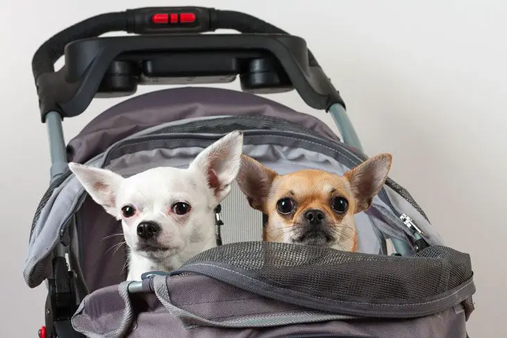 best choice products 2-in-1 pet stroller and trailer