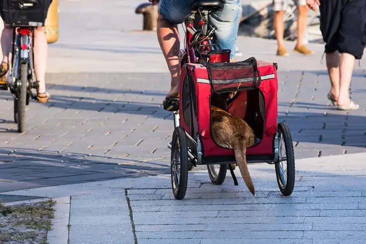 best choice dog bike trailer