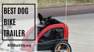 best dog bike trailer