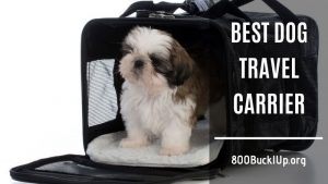 best dog travel carrier