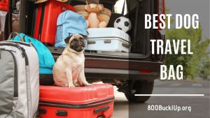 best dog travel bag