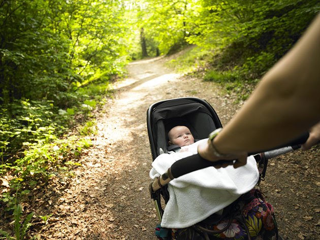 the best frame strollers