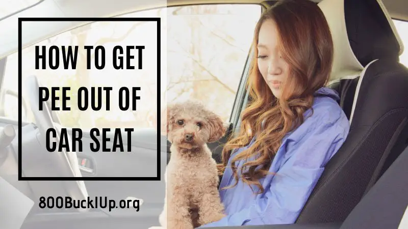 how to get pee out of car seat