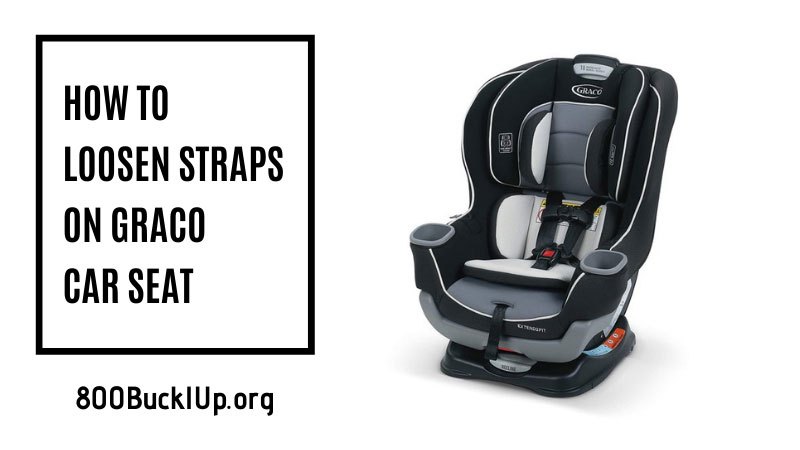 All You Need To Know On How Loosen Straps Graco Car Seat - Graco Baby Car Seat Loosen Straps