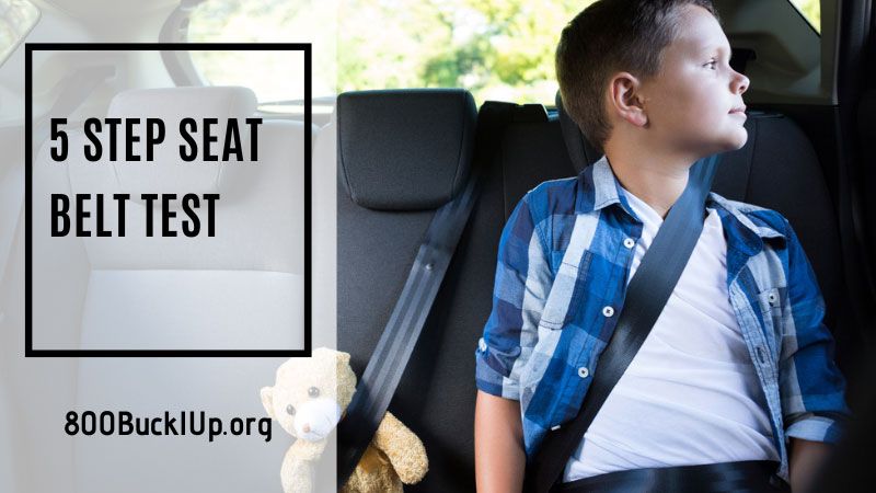 5 step seat belt test