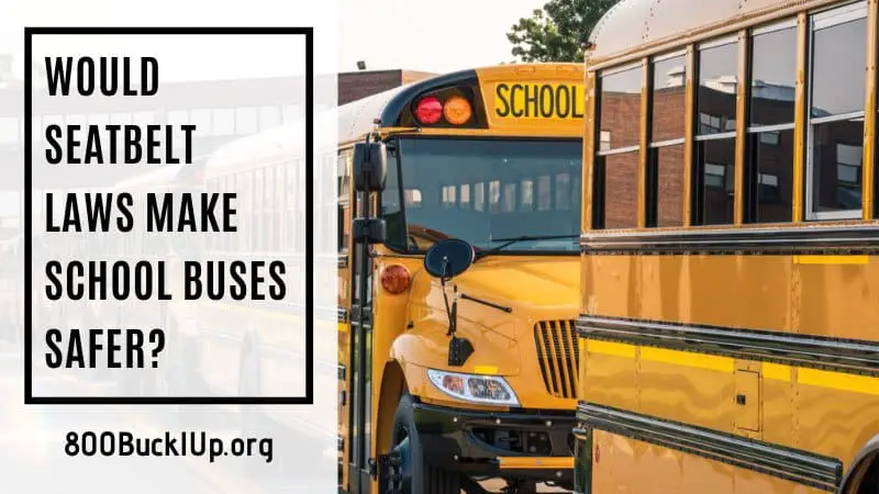 would seatbelt laws make school buses safer